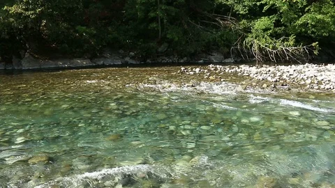 Panorama of fast flowing stream. Bubbles and foam on water surface Stock Footage 116615459