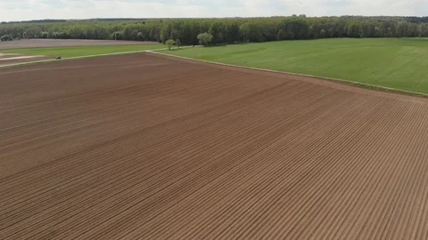 Panorama of field and trees Stock Footage 89902625