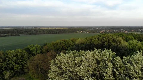 Panorama of field and trees Stock Footage 89902723
