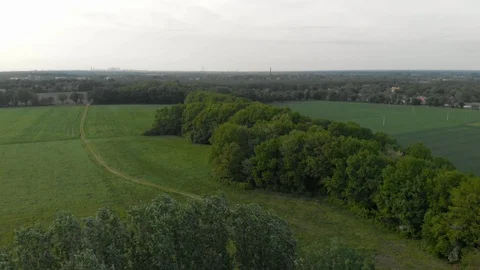 Panorama of field and trees Stock Footage 89903250