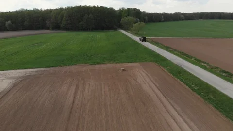 Panorama of field and trees Stock Footage 89904224