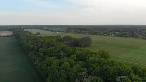 Panorama of field and trees Stock Footage 89904621
