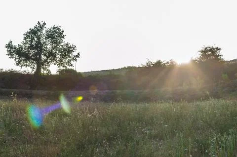 Panorama with flare effect Stock Photos