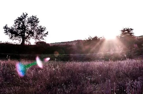 Panorama with flare effect Stock Photos