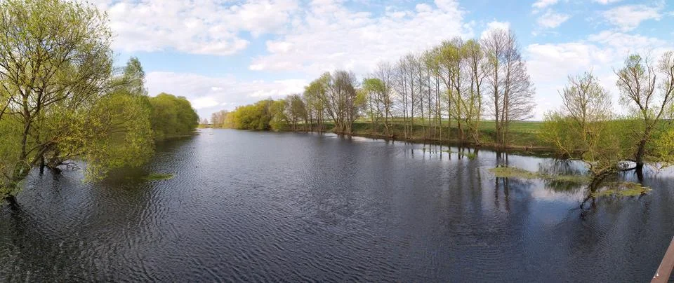 Panorama of a flooded river plain in spring Stock Photos