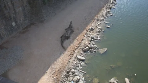 Panorama of Florence Italy Stock Footage 101341353