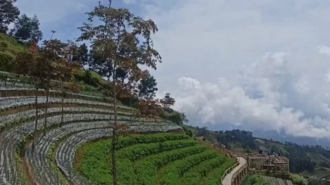 Panorama 動画素材 167924227