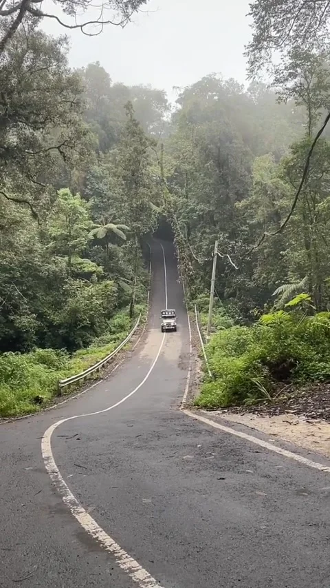 Panorama Video stock 205214980