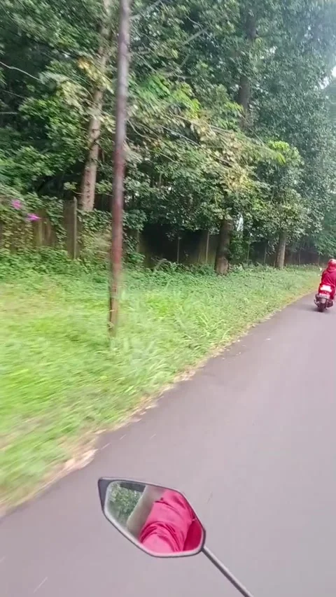 Panorama 動画素材 205813082