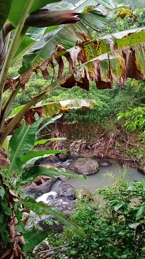 Panorama 動画素材 205815792