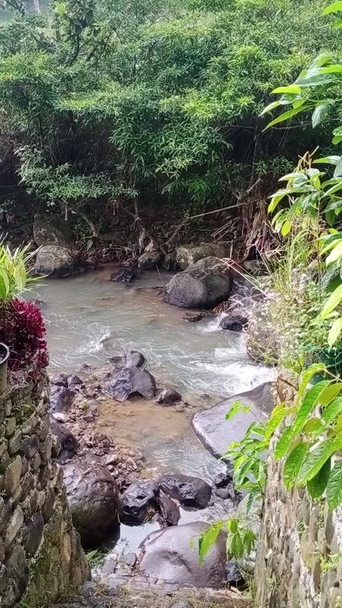 Panorama 動画素材 205816164