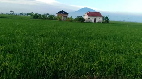 Panorama Stock Footage 209327725