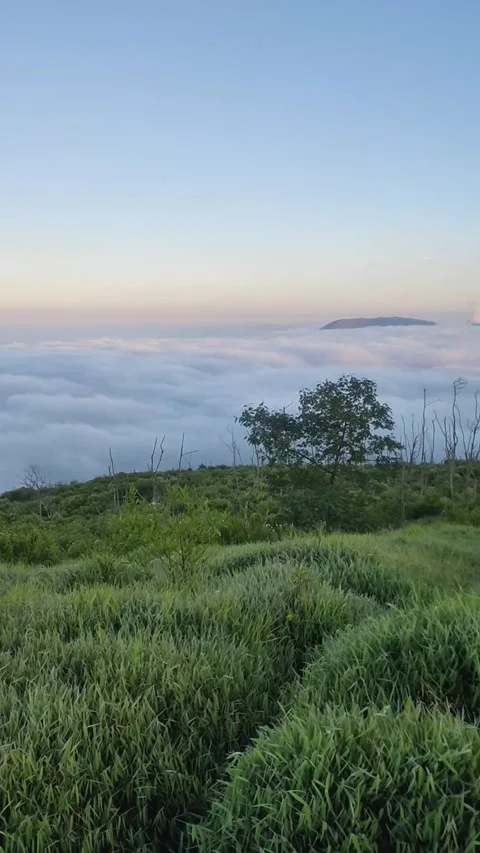 Panorama 스톡 동영상 219348368