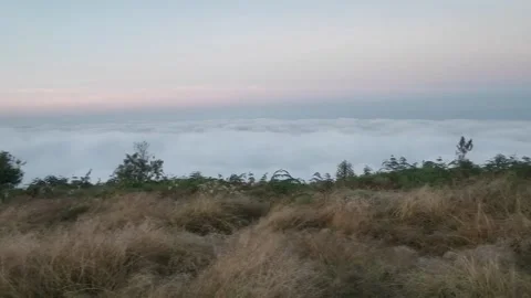 Panorama 스톡 동영상 219382475