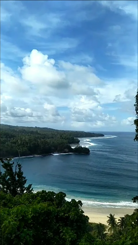 Panorama Video stock 219734019