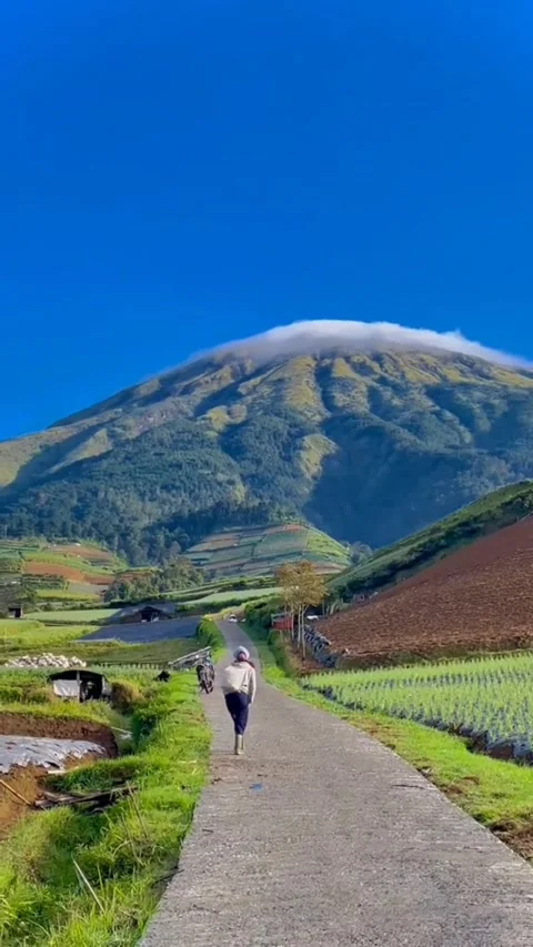 Panorama 库存影片 220241691