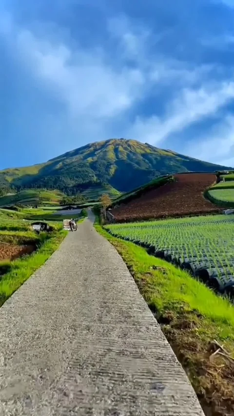 Panorama 库存影片 220242793