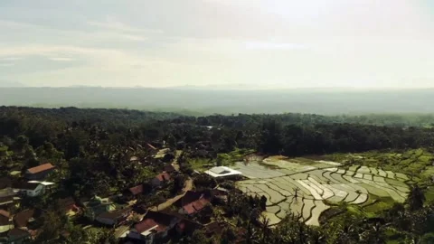 Panorama Stock Footage 221351295