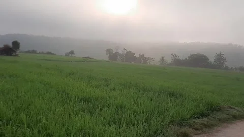 Panorama Stock Footage 244739796