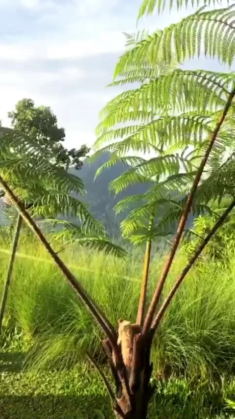 Panorama Stock Footage 245627822