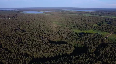 Panorama of the forest from the air Stock Footage 58253342