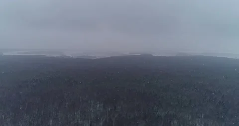 Panorama of the forest with a drone Stock Footage 147693787