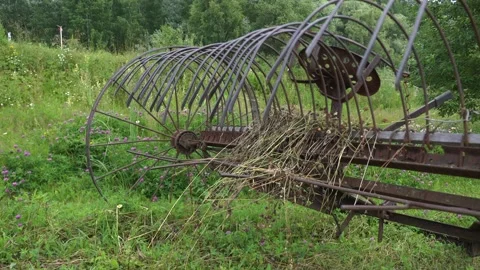 Panorama of a forest edge with an old rusty cart with wheels Stock Footage 140955721
