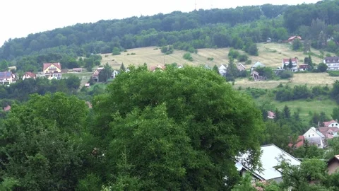 Panorama to a forest 스톡 동영상 132641701