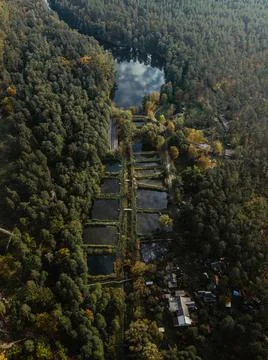 Panorama to forest lake inside the forest Stock Photos