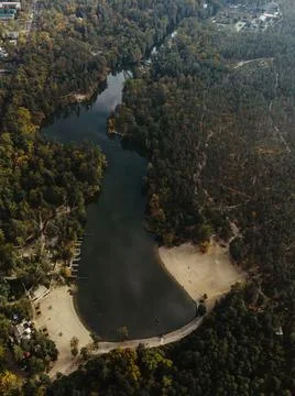 Panorama to forest lake inside the forest Foto stock