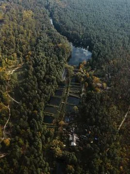 Panorama to forest lake inside the forest Foto stock
