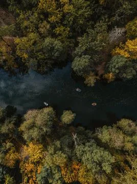 Panorama to forest lake inside the forest Foto stock