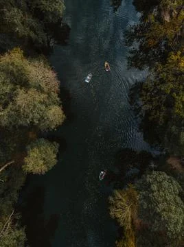 Panorama to forest lake inside the forest Stock Photos