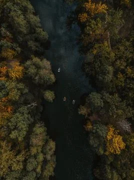 Panorama to forest lake inside the forest Stock Photos
