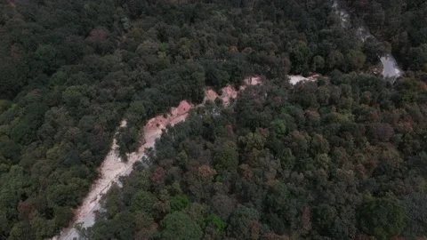 Panorama in forest, landscape Video stock 196010915