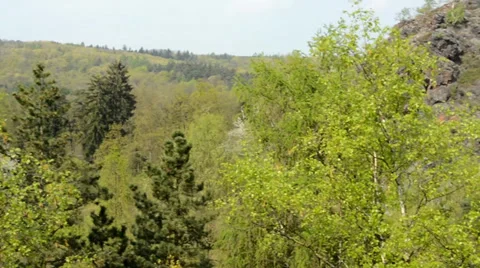 Panorama of forest with mountain Stock Footage 37167960