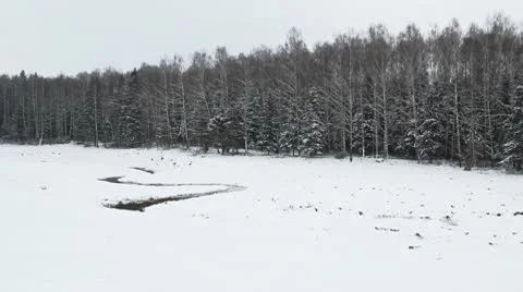 Panorama of the forest with the river in winter Stock Footage 10752014