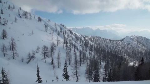 Panorama of a forest in the snow alps Stock Footage 102579603