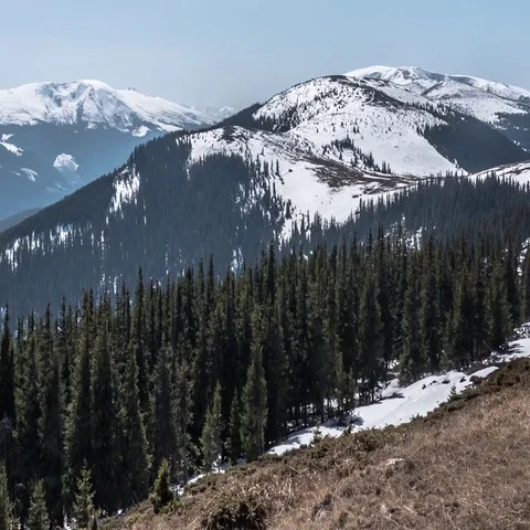 Panorama with forested mountains over which was strewn with little snow. Stock Footage 69355619
