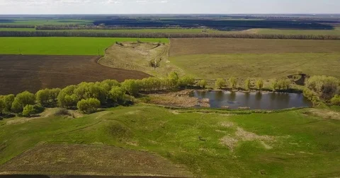 Panorama of forests and fields. rural areas. Drone Point of View Stock Footage 74509997