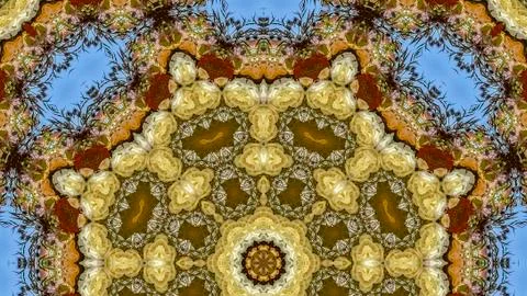 Panorama frame Abstract angular field of flowers in circular arrangement at 写真素材