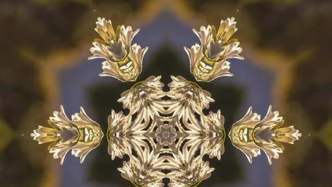 Panorama frame Abstract star shape with circular snowflake style look made from 写真素材