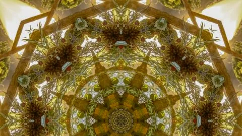 Panorama frame Angular view of leaves of a flower arrangemnet no petals Foto stock