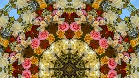 Panorama frame Design pattern made from pink yellow white orange roses at Stock Photos
