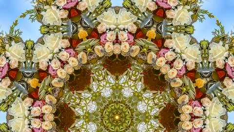 Panorama frame Muted toned down white red and yellow flowers in circular 写真素材