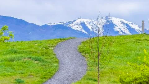 Panorama frame Paved pathways on a hill covered with vibrant green grasses Foto stock