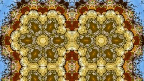 Panorama frame Quadruple hexagonal flowers in circular arrangement at wedding in Stock Photos