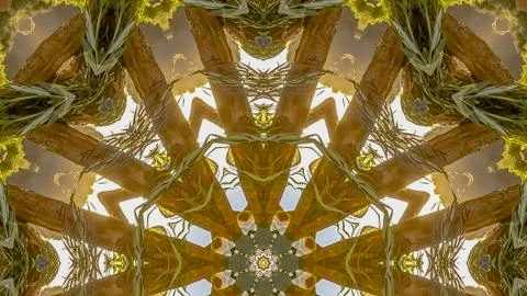 Panorama frame Wild angular shapes of a flower arrangement showing only leaves Stock Photos