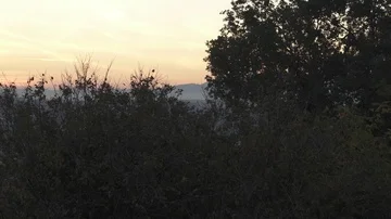 Panorama from Gianicolo Stock Footage 85551039