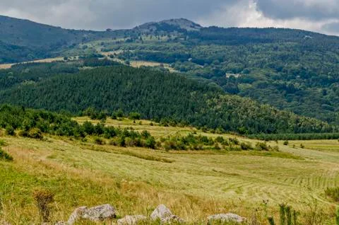 Panorama of glade and  green forest in front of Black peak Stock Photos
